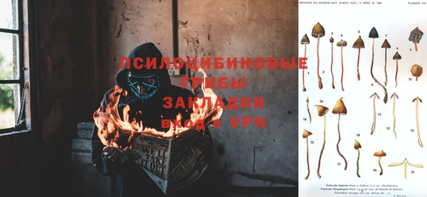 бошки Рославль