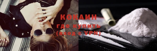 индика Слюдянка